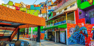 Procuraduría pidió a las autoridades de Medellín acciones para proteger el arte urbano: Grafitis