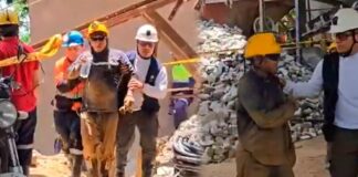 Después de más de 48 horas de labor, fueron rescatados los 23 mineros atrapados en una mina de Segovia