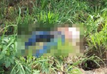 Fue hallado el cuerpo sin vida de un hombre en la vía Sabanilla – Salgar con un impacto de bala