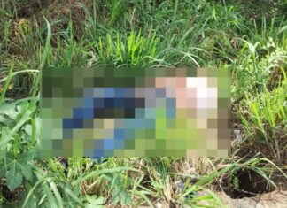 Fue hallado el cuerpo sin vida de un hombre en la vía Sabanilla – Salgar con un impacto de bala