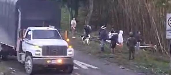 Cauca_0 (2)