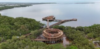 Foro Económico Mundial incluye a Barranquilla entre los modelos globales por su transformación ambiental y avances en infraestructura verde
