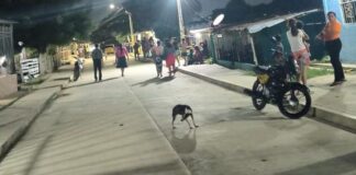 Dos jóvenes fueron asesinados en el barrio Me Quejo mientras jugaban dominó