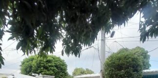 Trabajos eléctricos en el Corredor Universitario