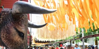 El legado hecho a mano brilló en Galapa durante el XVIII Festival de la Máscara y el Bejuco