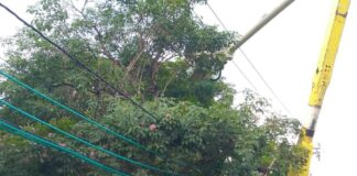 Cambian postes en el barrio Porvenir en el municipio de Soledad