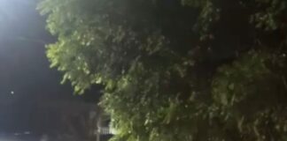 Fiesta navideña terminó en caos en Arroyo de Piedra: un muerto y al menos 15 heridos