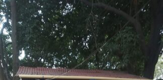 Ataque a bala deja una persona muerta en el barrio Villa Estadio de Soledad