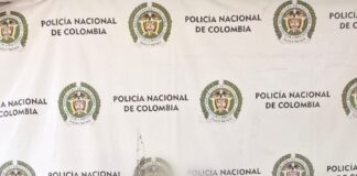 Una persona fue capturada mediante orden judicial por porte ilegal de armas de fuego durante controles policiales