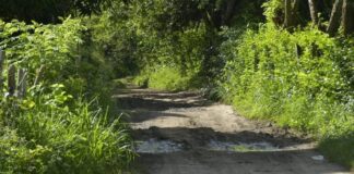 Hallan los cuerpos de un adolescente y una mujer en zona enmontada de Malambo