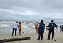 Sucre en Alerta Permanente por Emergencias en el Golfo de Morrosquillo
