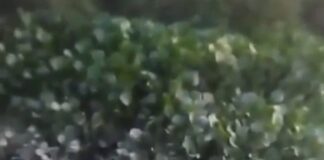 Hallan sin vida a joven de Malambo en zona enmontada de Soledad