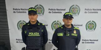 Policía nacional incauta marihuana oculta en la bodega de un bus en el terminal de transporte
