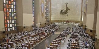 12.000 plántulas se entregarán a la comunidad para fomentar la protección de la palma de cera con ocasión del Domingo de Ramos