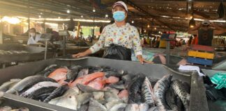 Plaza del pescado en Barranquilla está lista para la Semana Santa