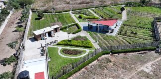 Alcaldía de Barranquilla impulsa en los barrios la siembra de frutas, hortalizas y plantas, se busca replicar huertas en toda la ciudad