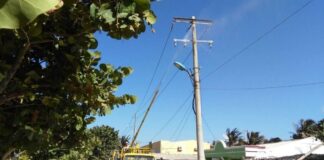 Este domingo 5 de abril: Labores de lavado de aisladores en Puerto Colombia