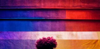 Colombia avanza en la protección y atención diferencial de víctimas LGBTIQ+ del conflicto armado
