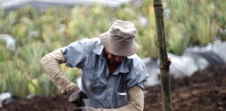 Jurisdicción Agraria más cerca de ser una realidad