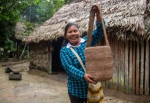 En el ‘Día Mundial del Medio Ambiente’, Bancamía traza ruta de atención sostenible para microempresarios frente desafíos climáticos