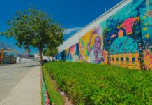 Barranquilla implementa acciones para mitigar el calor extremo y fortalece su liderazgo en el Día Mundial del Medioambiente