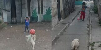 Lunita, la perrita que pide convocatoria al Mundial: así son sus atajadas virales en TikTok