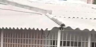 Hallan sin vida a hombre mientras se disputaba la final del Junior; comunidad de Las Moras pide mayor seguridad