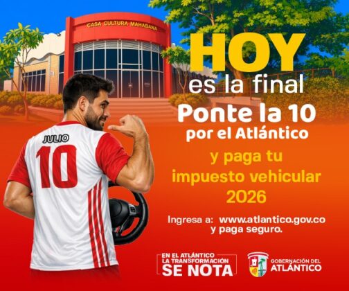 Institucional