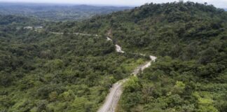 ELN habría secuestrado a 39 personas en la vía Quibdó–Carmen de Atrato; Ejército despliega operativo