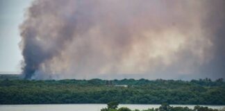 Persisten las quemas en el Parque Isla Salamanca; controlan nuevo incendio en Bocas de Ceniza