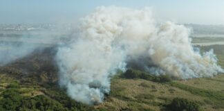El Cuerpo de Bomberos de Barranquilla adelanta labores para identificar el punto exacto de la conflagración y controlar la emergencia, con el fin de mitigar el impacto ambiental
