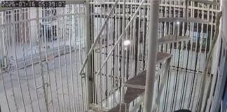 Inseguridad en el barrio los Robles