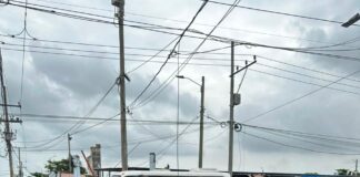Alcaldía Distrital fortalece la seguridad de los comerciantes con tecnología y redes de apoyo
