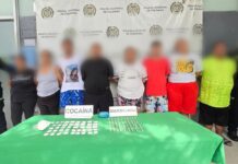 GOLPE CONTUNDENTE AL TRÁFICO DE ESTUPEFACIENTES EN LA LUZ: OCHO CAPTURADOS