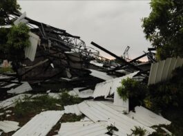 ATENCIÓN: Vendaval en Tenerife, Magdalena dejó múltiples daños