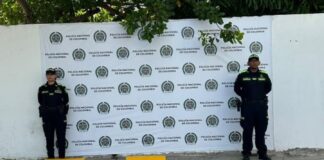 Incautados 241 kilogramos de marihuana en operación contra las rentas criminales