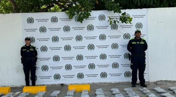 Incautados 241 kilogramos de marihuana en operación contra las rentas criminales